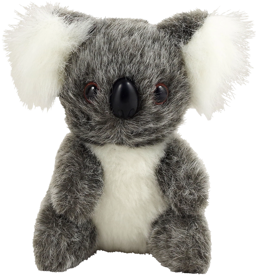 Hug A Koala Kit