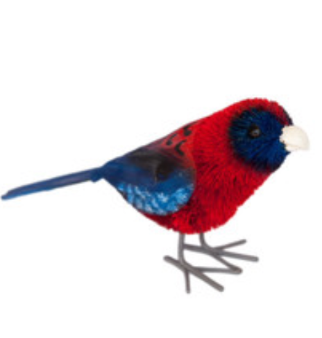 Aussie Bird Ornament