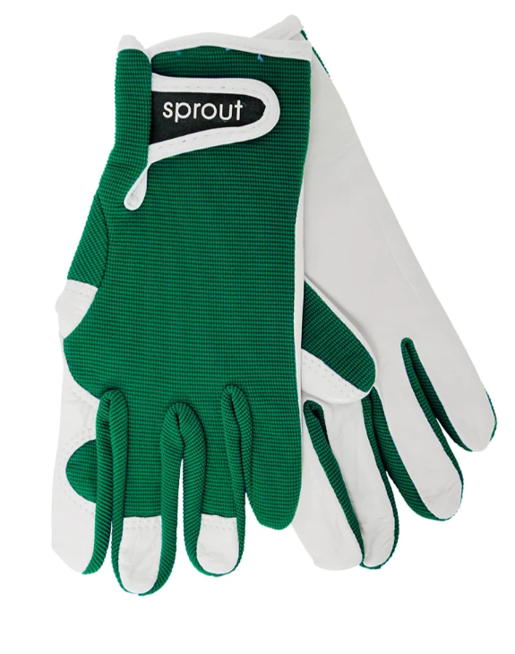 Sprout Goatskin Gloves