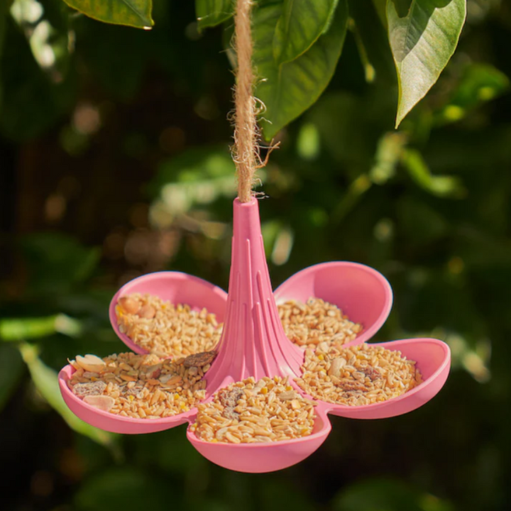 Bird Feeder Bamboo