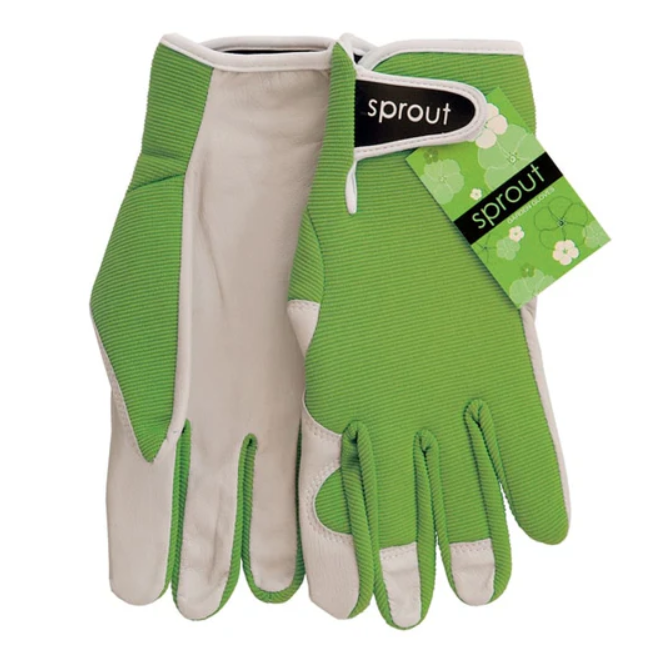 Sprout Goatskin Gloves