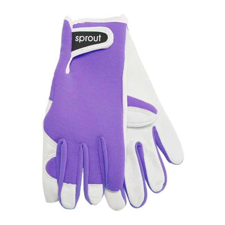 Sprout Goatskin Gloves