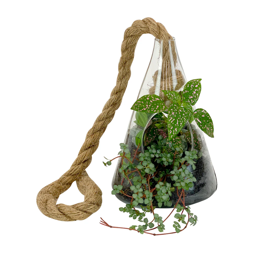 Hanging Terrarium Small Cone