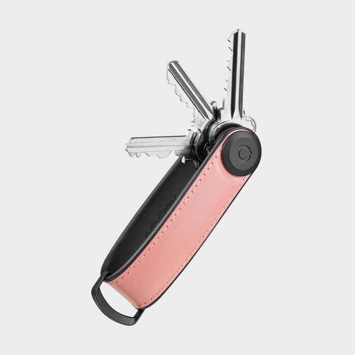 Key Organiser Hybrid