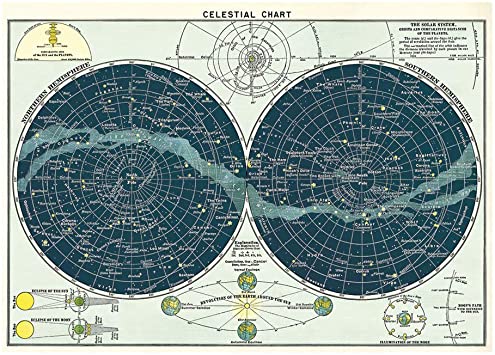 Maps Cavallini Assorted