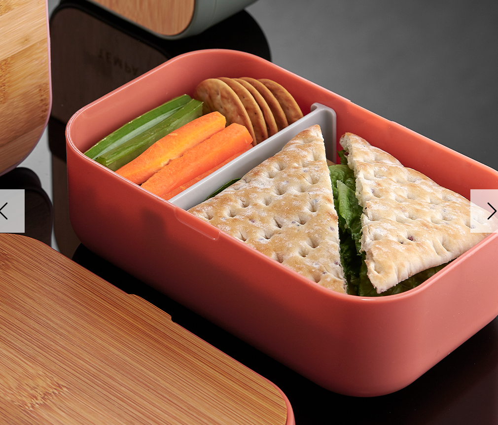 Bento Lunch Box